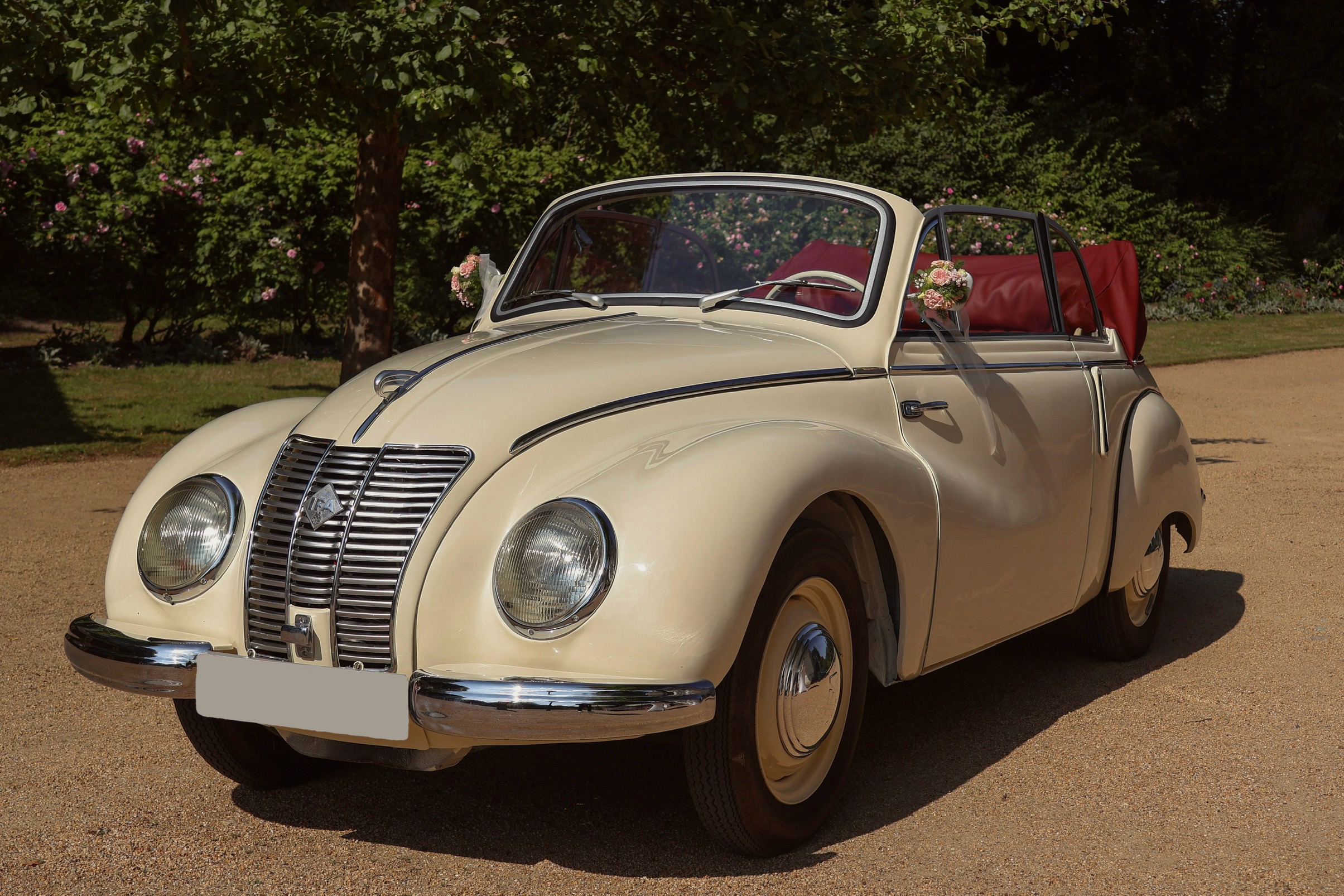 Hochzeitsauto IFA F9 Cabrio